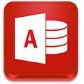 Microsoft Office Access 2003(数据库管理系统)v11.0.8321.0中文版