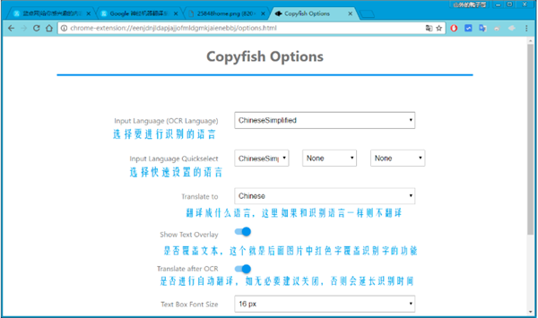 Copyfish中文PC版 v6.1.5