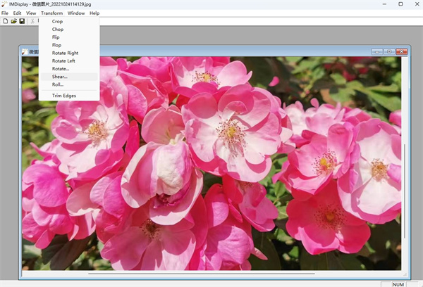 imagemagick电脑版下载 v7.1.1-34