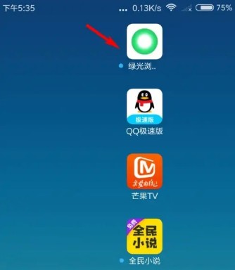 绿光浏览器手机版下载 v3.0.0.1038