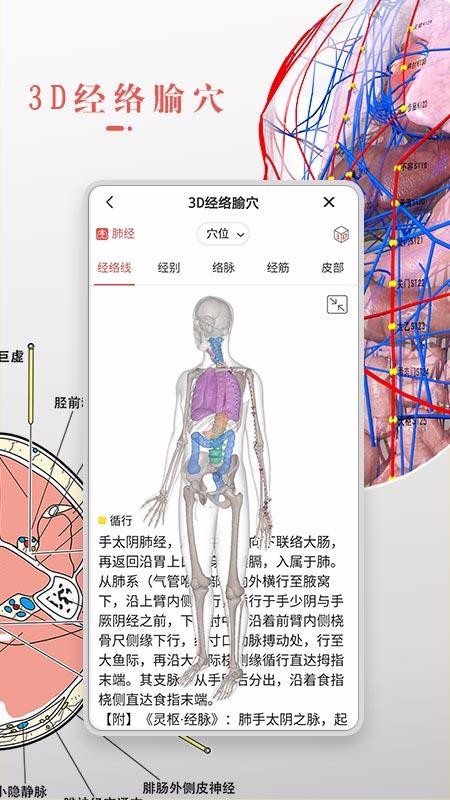 3dbody解剖app下载 v8.3.2