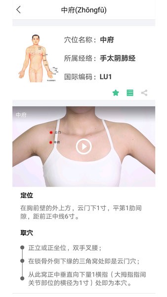 灸大夫针灸经络图解安卓版下载 v6.3.8