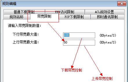 P2P终结者电脑版下载 v5.0.34