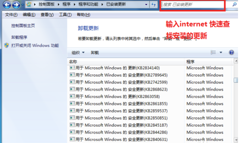 ie10电脑版下载 v1.0.8