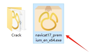 NavicatPremium免费版下载 v1.0.51