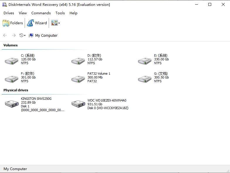 DiskInternals Word Recoery(Word文件恢复软件) 5.16