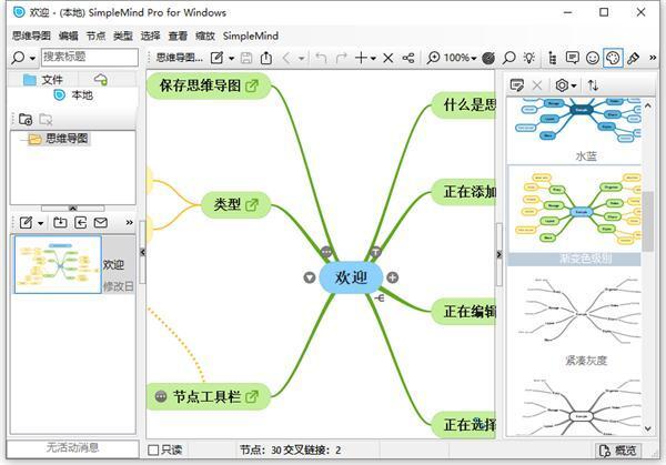 SimpleMind Pro(思维导图软件) v2.3.3.6466 中文便携版