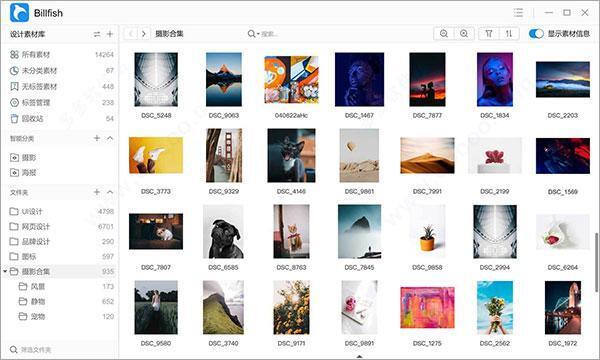 billfish素材管理工具v3.0.33.8 官方版下载