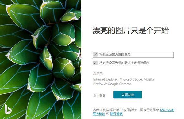 Bing Wallpaper必应壁纸 v2.0.0.6 中文官方版